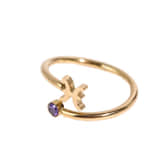 Ring Sterrenbeeld Vissen