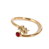 Ring Sterrenbeeld Waterman