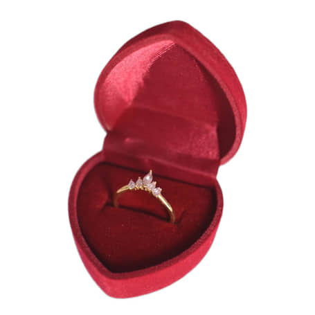 Ringdoosje Hart Velvet Rood