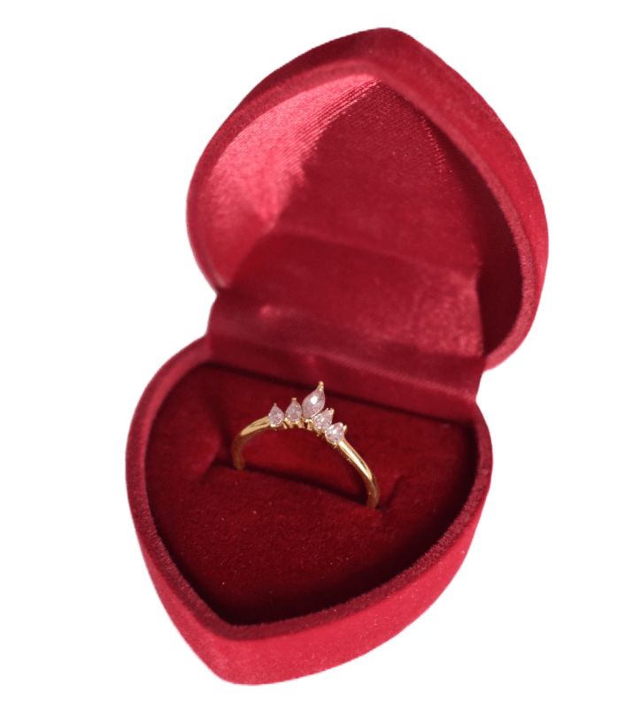 Charlery Ringdoosje Hart Velvet Rood