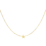 Charlery Ketting Ster minimalistisch goud