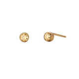 Charlery Oorbellen Geboortemaand November goud
