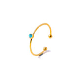 Charlery Ring Geboortemaand December goud