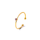 Charlery Ring Geboortemaand Oktober goud
