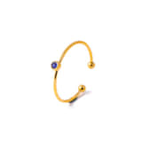 Charlery Ring Geboortemaand September goud
