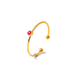 Charlery Ring Geboortesteen Januari Goud