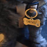 Charlery Graveerbare Hondenpenning Goud Bot