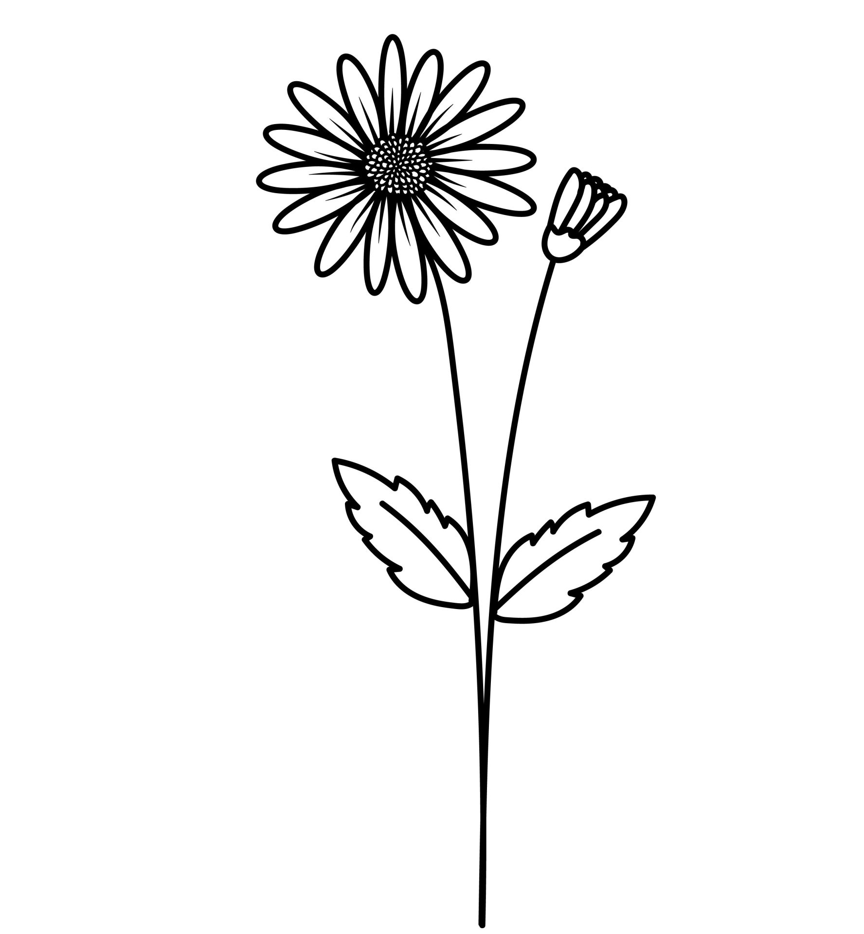 April - Madeliefje
