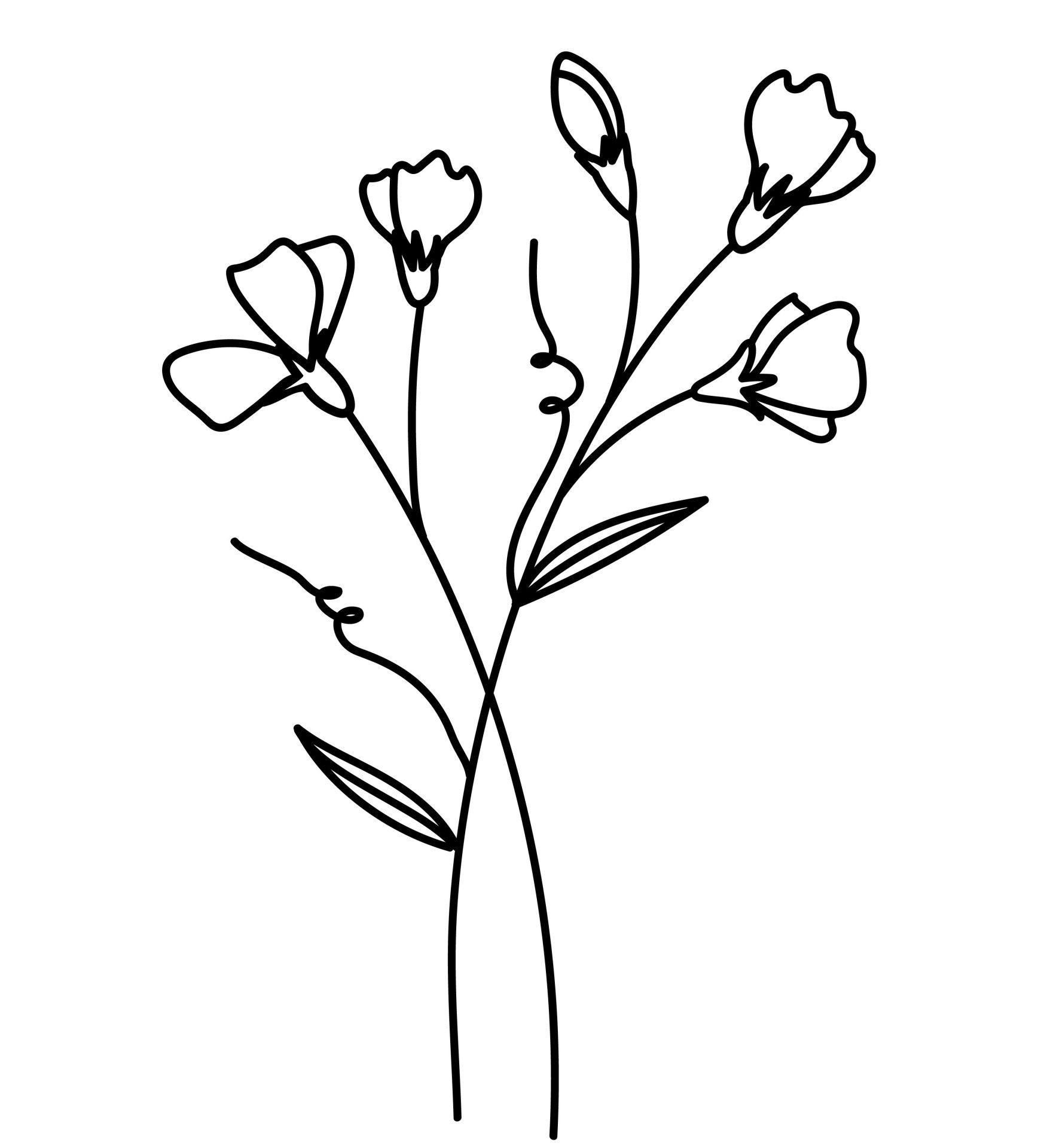 April - Lathyrus