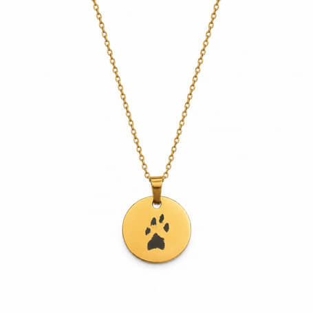 Charlery Graveerbare Munt Ketting Pootafdruk goud