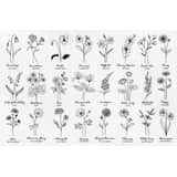 Charlery Overzicht Geboortebloemen Birth Flower Sieraden