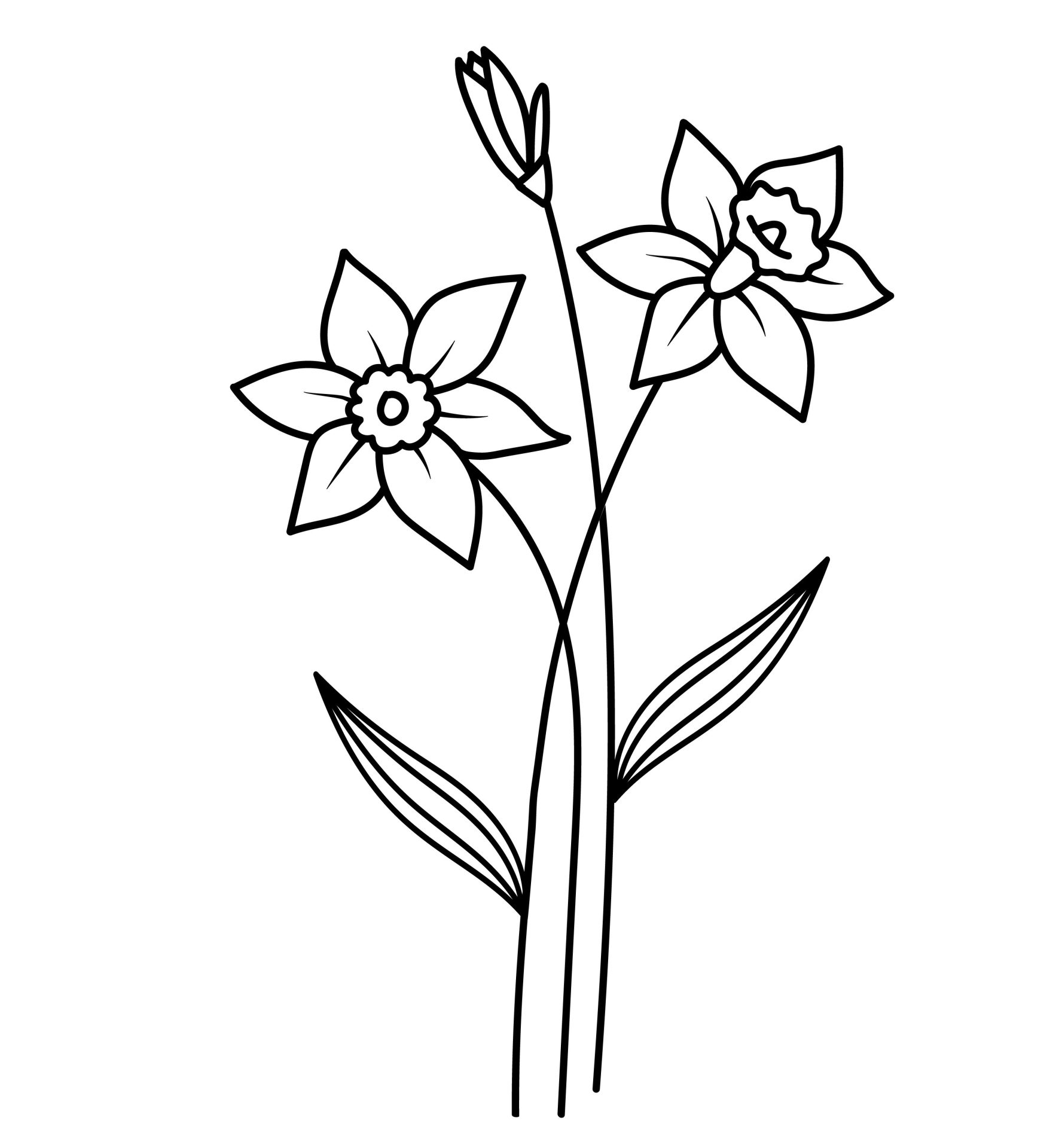 Maart - Gele Narcis