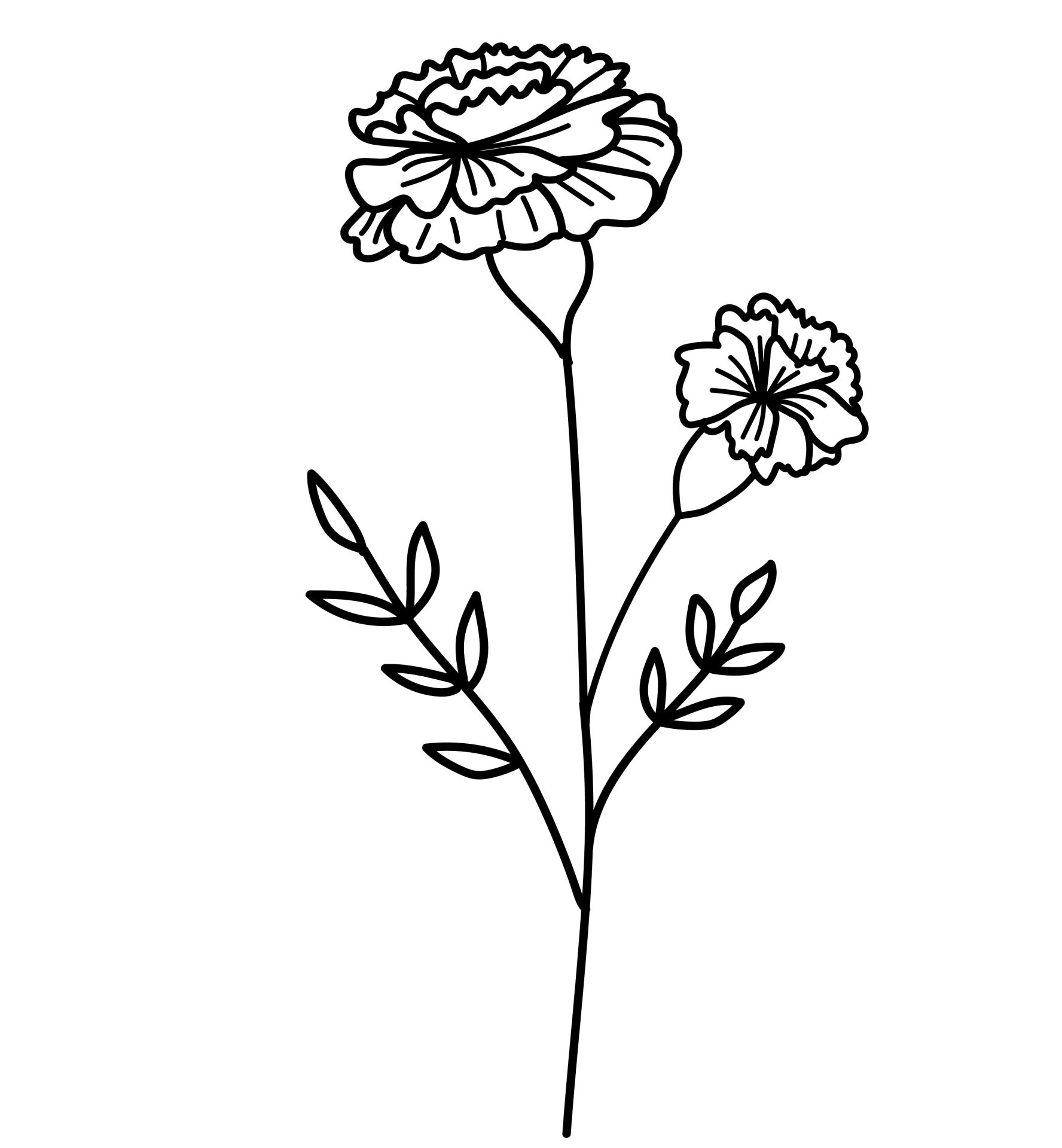 Oktober - Goudsbloem