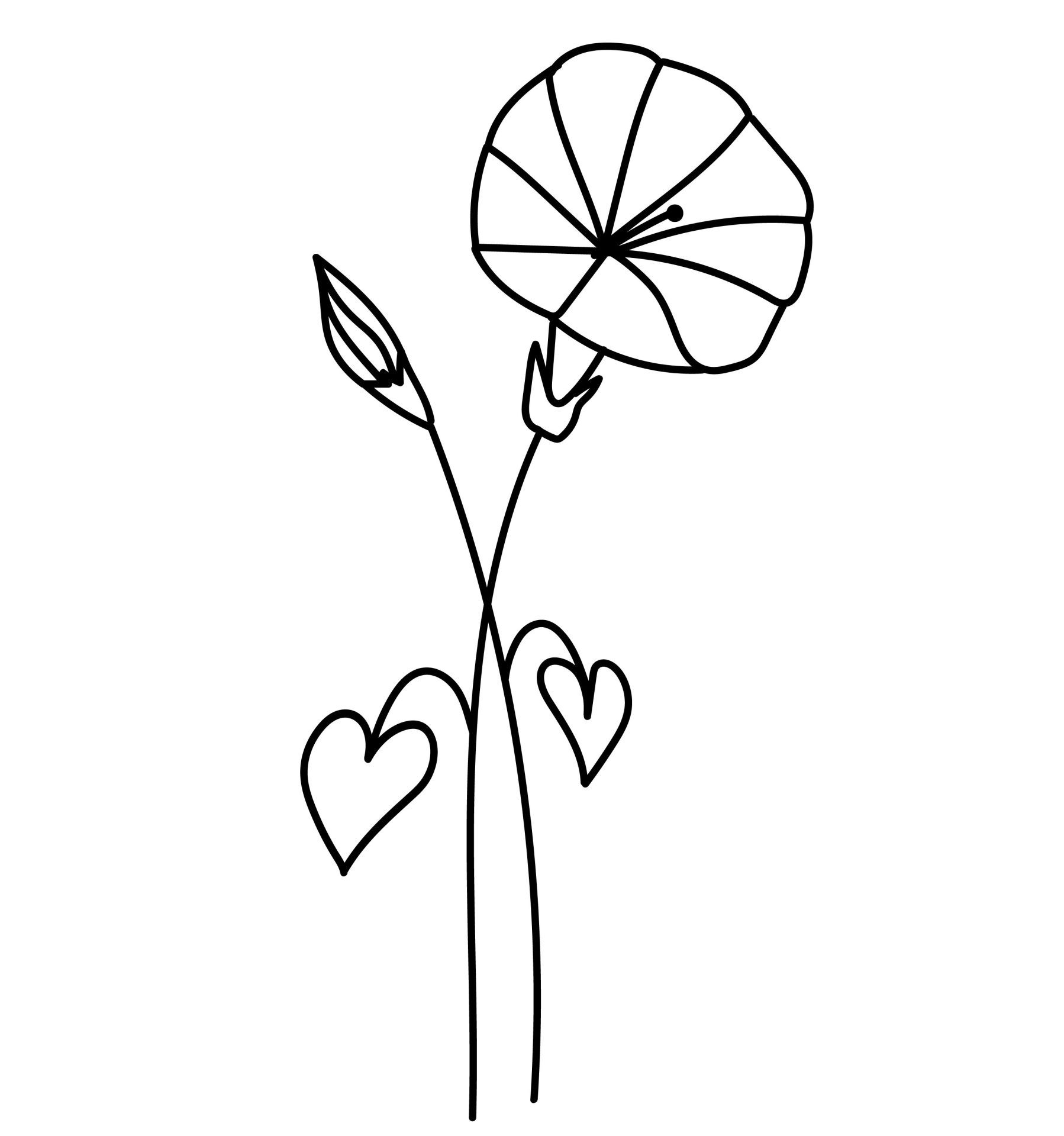 September - Dagbloem