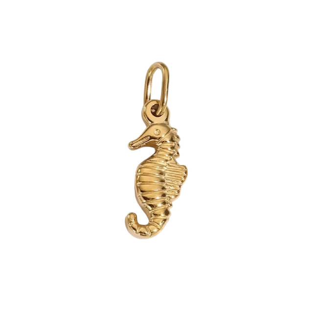 CYO Zeepaardje Bedel