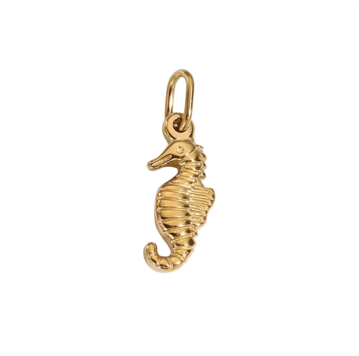 Charlery CYO Zeepaardje Bedel CYO Zeepaardje Bedel