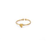 Geboortemaand Ring Hartje November