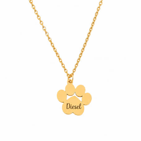 Charlery Ketting Hondenpoot met Naam goud